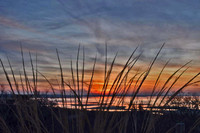 Sunset_through_the_reeds.jpg