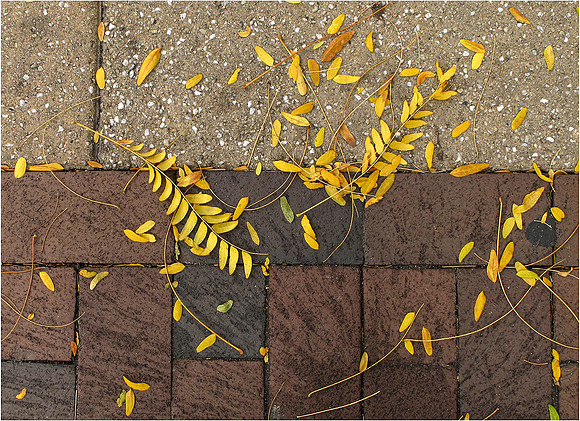 Autumn_Sidewalk.jpg