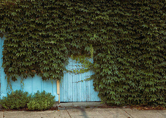 WMAWI Photo Walk 1 PSylvia 10