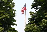 Susan American Flag
