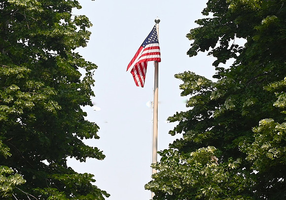 Susan American Flag