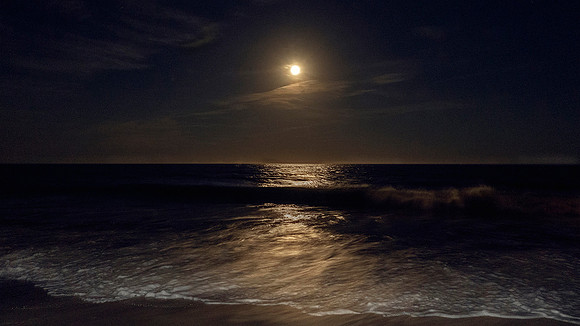 Moonlit.jpg