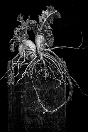 Turnips_In_Love.jpg