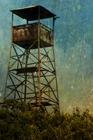 Abandoned.jpg