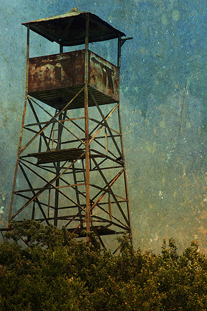 Abandoned.jpg