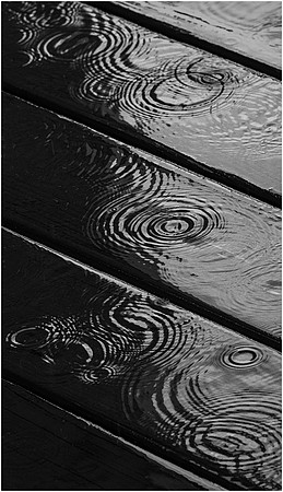 Rain_Circles.jpg