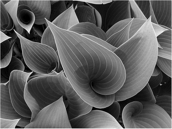 Geometic_Folds.jpg